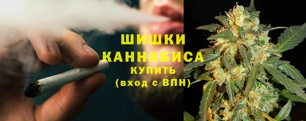 дживик Каменногорск