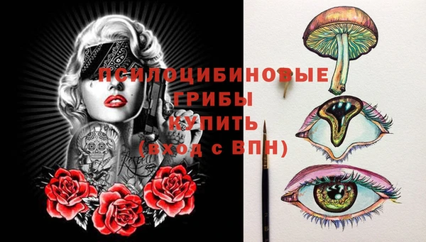 дживик Каменногорск