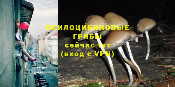 дживик Каменногорск