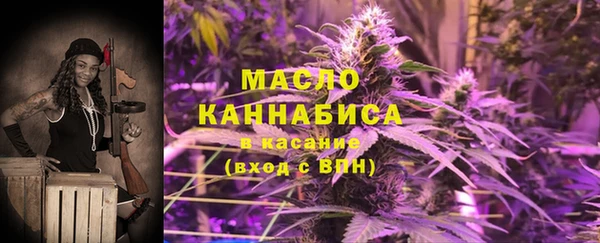 дживик Каменногорск
