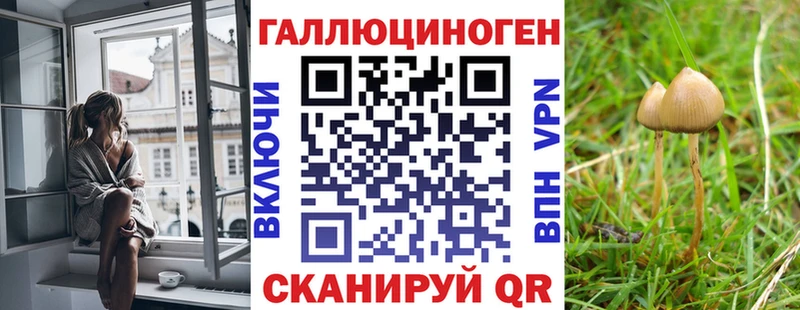 где продают   Первоуральск  Галлюциногенные грибы прущие грибы 